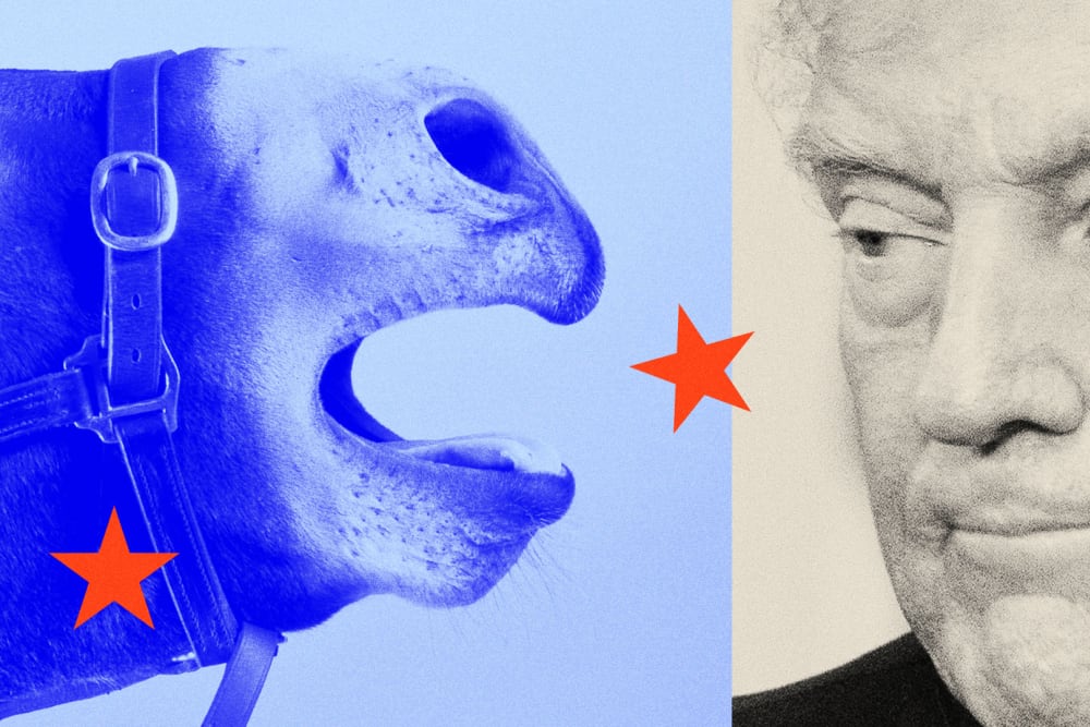 Photo illustraton of a donkey, overlaid in blue, braying at Donald Trump, overlaid in tan.