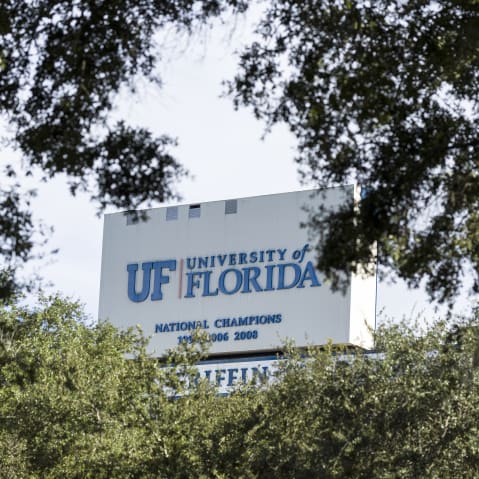 A sign that reads UF is seen through tree branches.
