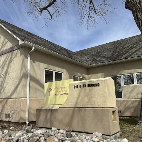 Wellspring Health Access building is seen.