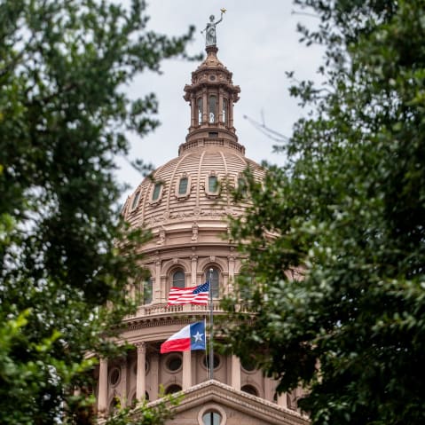 The Texas State Capitol dome peeks out from behind two trees.