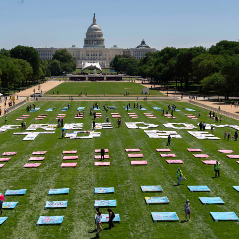 Pink, blue, and white quilt panels rest on the grass of the National Mall.