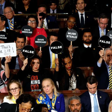 Democrat lawmakers hold up signs that say false, musk steals, save medicaid.