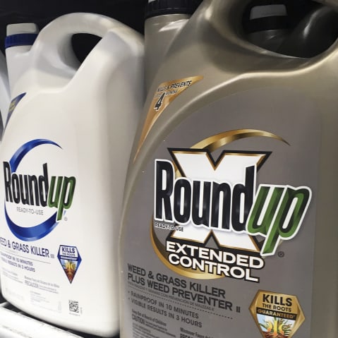 Three Roundup weedkiller bottles sit on a store shelf in this very closeup shot.