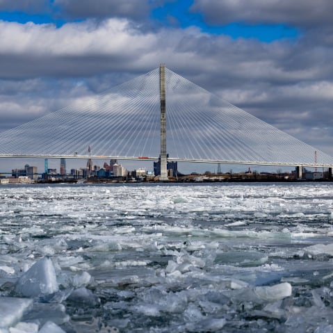 A cable-stayed bridge above icy water.