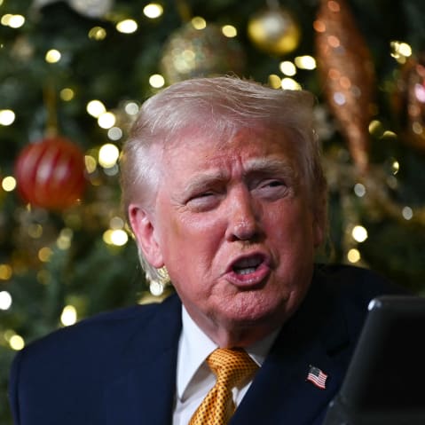 Donald Trump in front of a Christmas tree.