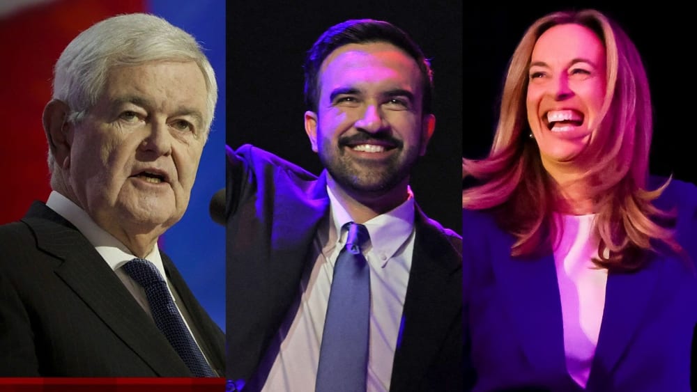 ‘We had a bad night’: Newt Gingrich warns Republicans have a problem after election defeats