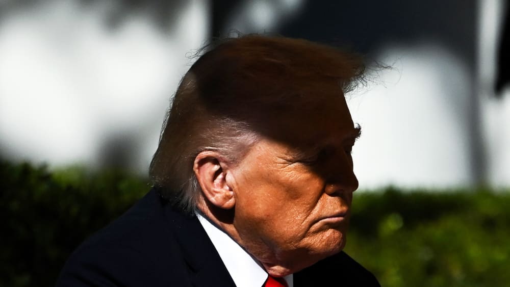 US President Donald Trump in the Rose Garden of the White House.