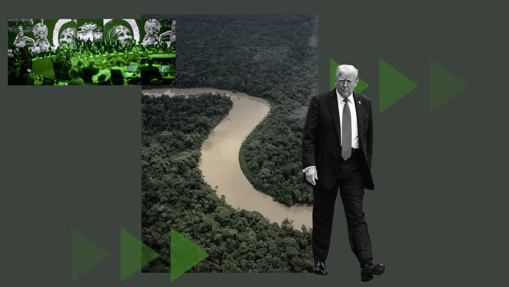 A photo illustration that includes a photo from COP30, a photo of the Amazon region and a photo of Donald Trump.