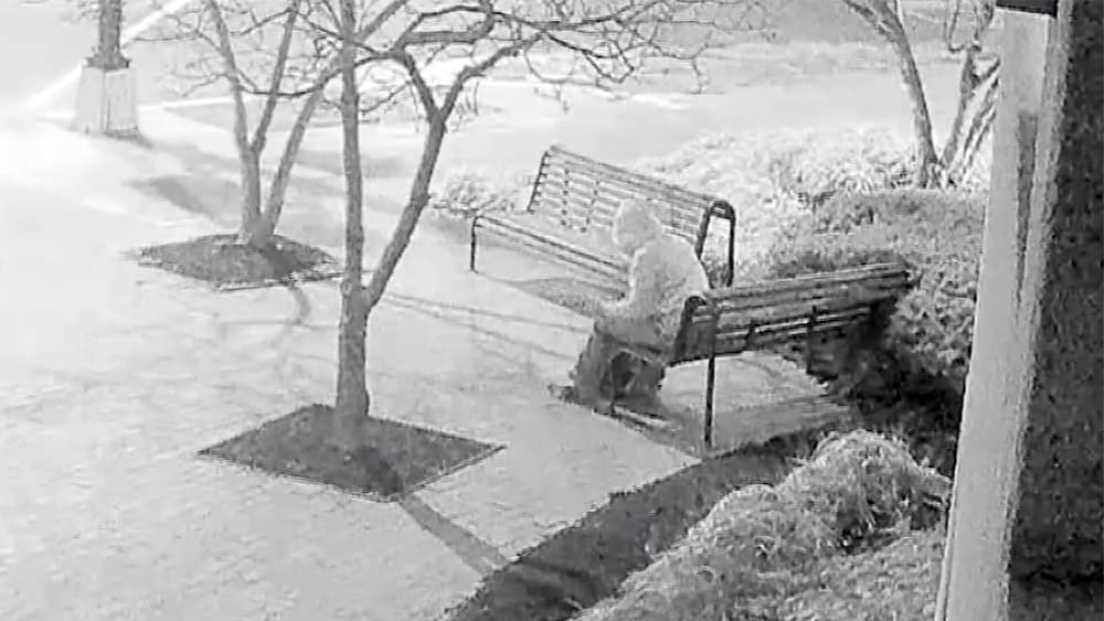 The pipe bomber suspect is identified as Brian Cole Jr. of Woodbridge, Virginia.