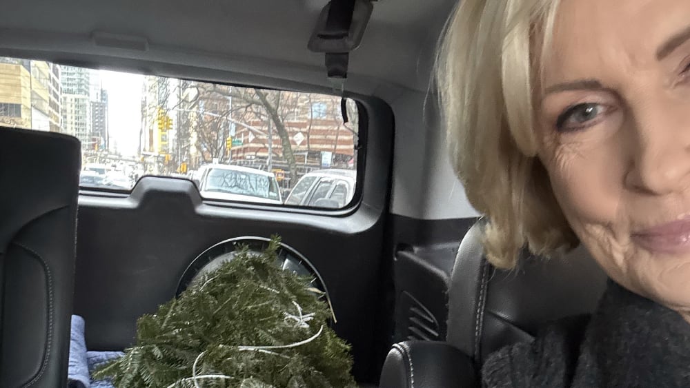 Mika Brzezinski in her car with the Christmas Tree she bought.