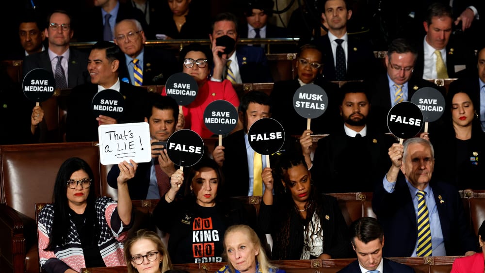 Democrat lawmakers hold up signs that say false, musk steals, save medicaid.