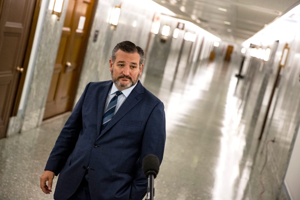 Image: Ted Cruz