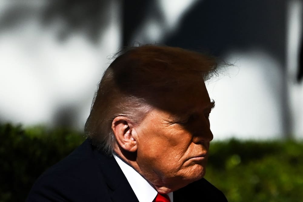 US President Donald Trump in the Rose Garden of the White House.