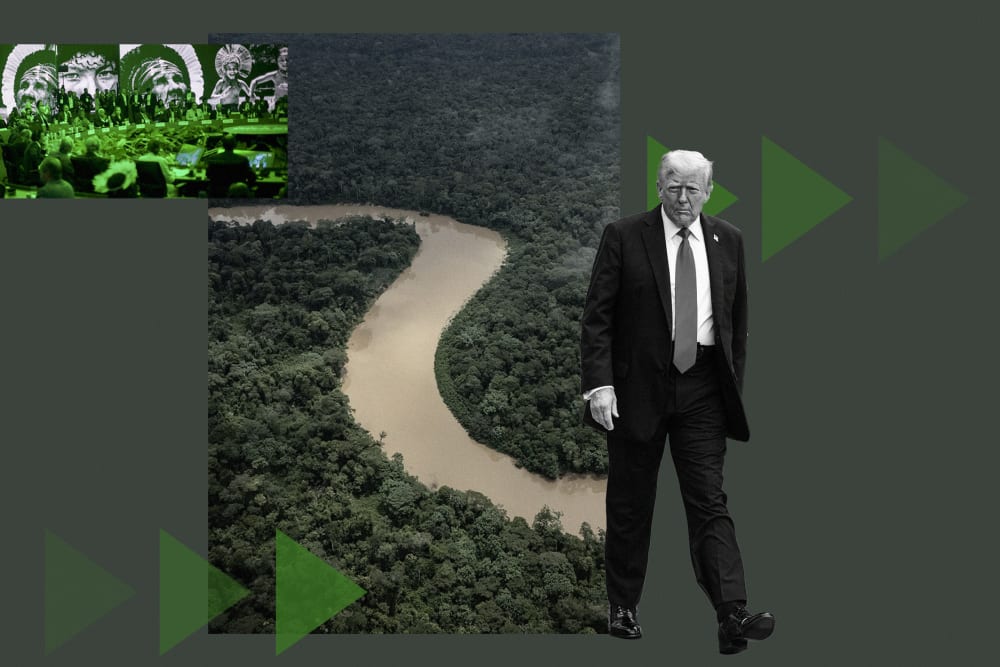 A photo illustration that includes a photo from COP30, a photo of the Amazon region and a photo of Donald Trump.