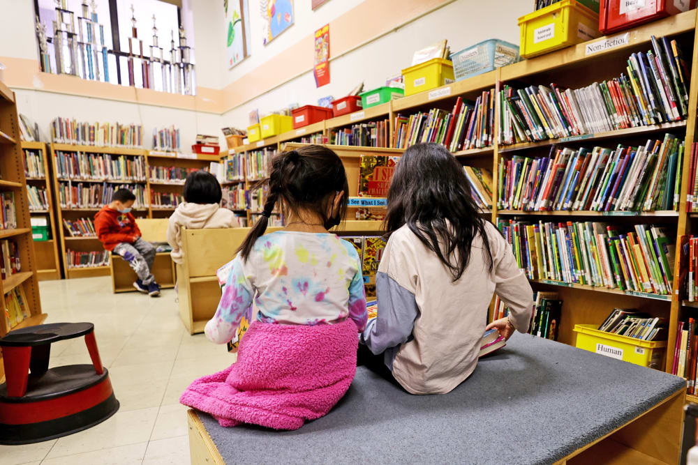 Students reading in the library.