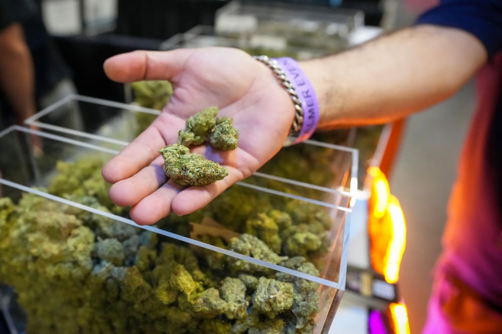 A person hold cannabis flower.