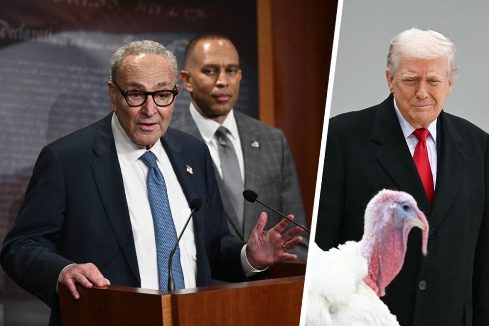 Chuck Schumer and Hakeem Jeffries; Donald Trump and Gobble, one of the National Thanksgiving turkeys.