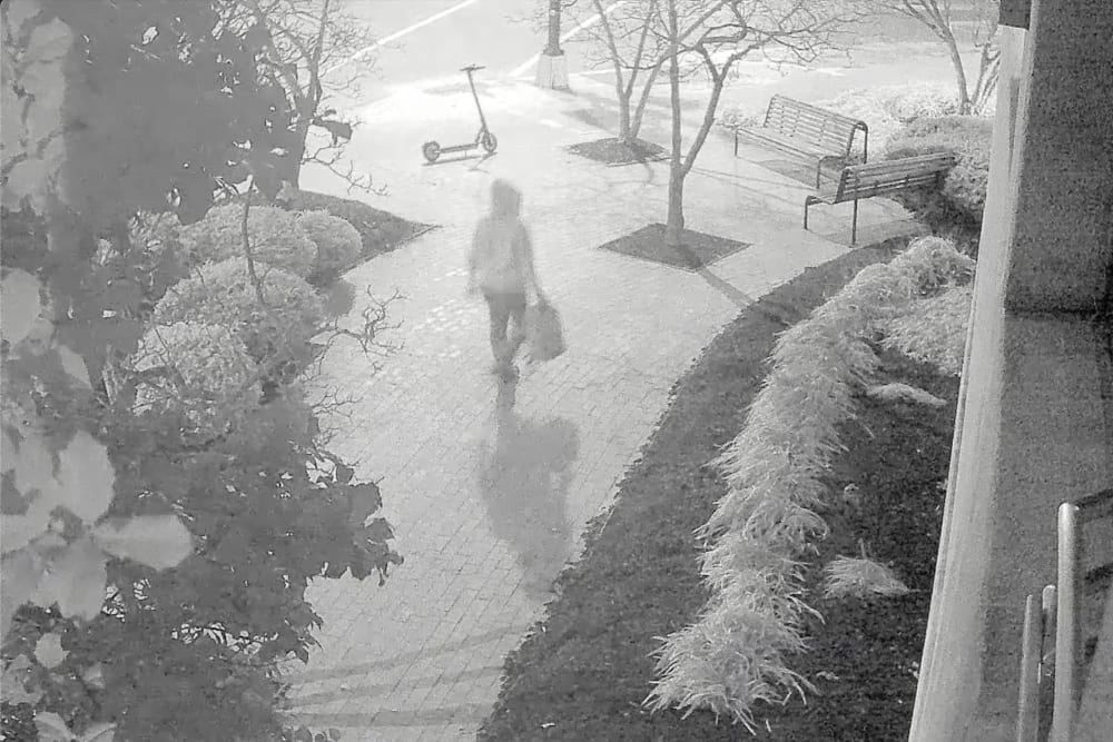 An unidentified individual placed pipe bombs near the DNC and RNC offices in Washington, D.C. on Jan. 5, 2021. This screenshot was captured from a surveillance video, released by FBI.