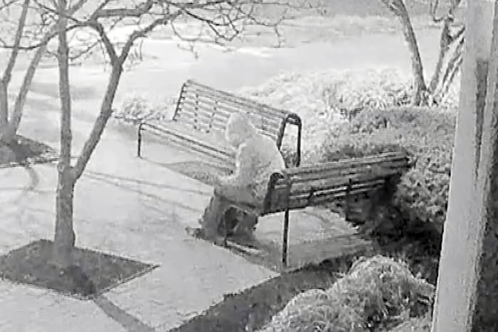 The pipe bomber suspect is identified as Brian Cole Jr. of Woodbridge, Virginia.