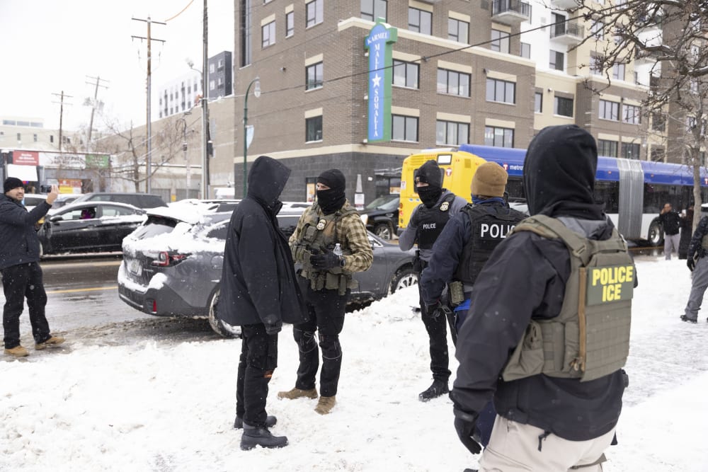 ICE officers question a man's status on Lake Street near a Somali mall called the Karmel Mall in Minnesota.