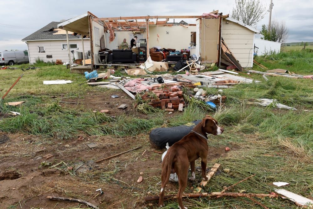 Brandon Scott, inside his home, and his dog Baxter, in front, survey the damage of their home after a tornado ripped through it in Longmont, Colo. on June 5, 2015. (Photo by Helen H. Richardson/The Denver Post/Getty)