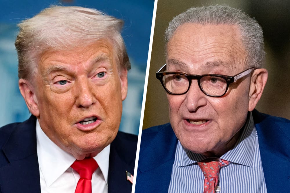 Donald Trump; Chuck Schumer.
