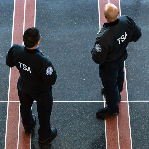 Transportation Security Administration (TSA) agents at Ronald Reagan Washington National Airport (DCA).
