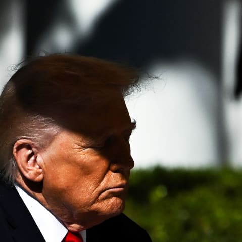 US President Donald Trump in the Rose Garden of the White House.