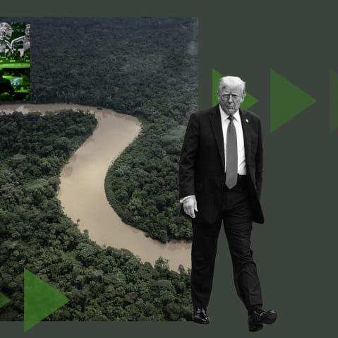 A photo illustration that includes a photo from COP30, a photo of the Amazon region and a photo of Donald Trump.