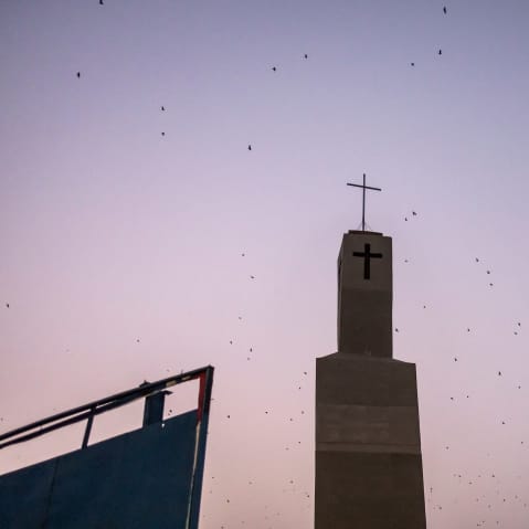 Bats fly over a church tower in Jos, Nigeria.