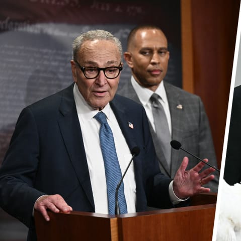 Chuck Schumer and Hakeem Jeffries; Donald Trump and Gobble, one of the National Thanksgiving turkeys.