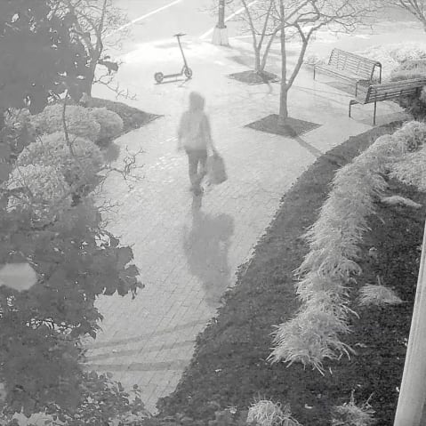 An unidentified individual placed pipe bombs near the DNC and RNC offices in Washington, D.C. on Jan. 5, 2021. This screenshot was captured from a surveillance video, released by FBI.