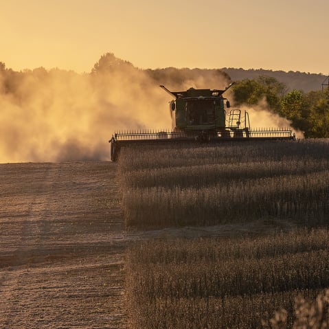 A combine harvests soybeans in MarionKy.