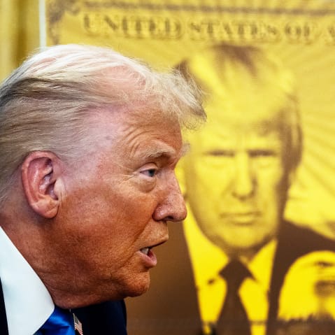 A profiled view of President Donald Trump in front of a poster of the "Trump Gold Card."