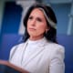Tulsi Gabbard.