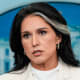 Tulsi Gabbard