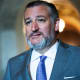 Ted Cruz at the Capitol