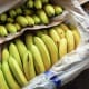 Bananas sit in a box at a fruit and vegetable store.