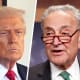 Donald Trump; Chuck Schumer.