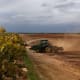 A tractor berms soil for almond trees.