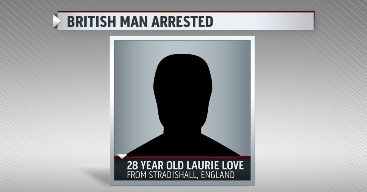 Alleged federal hacker arrested