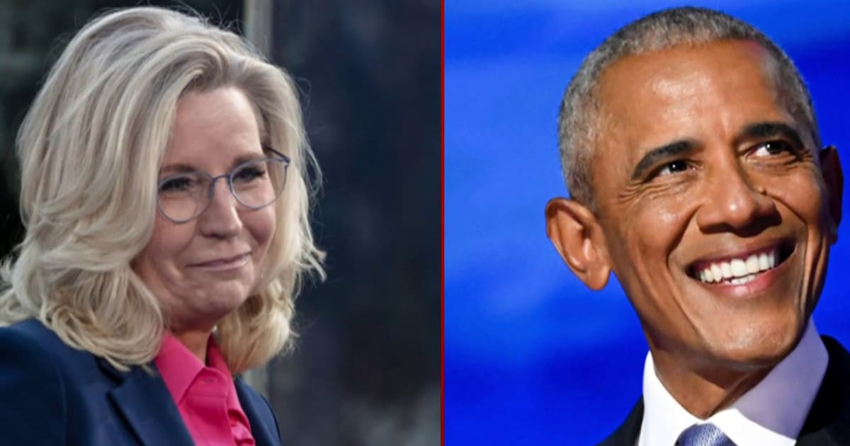 ‘Cheney and Obama’: Broad coalition of massive surrogates hit the ...