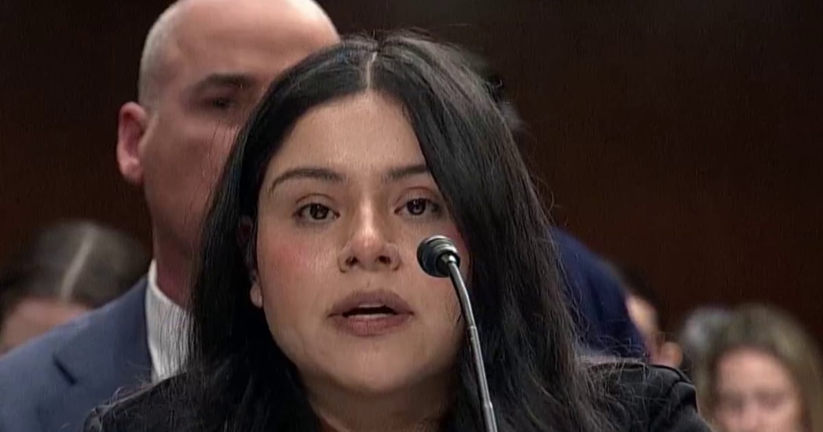
                            ‘My own government attempted to execute me’: Victims of ICE and Border Patrol aggression testify