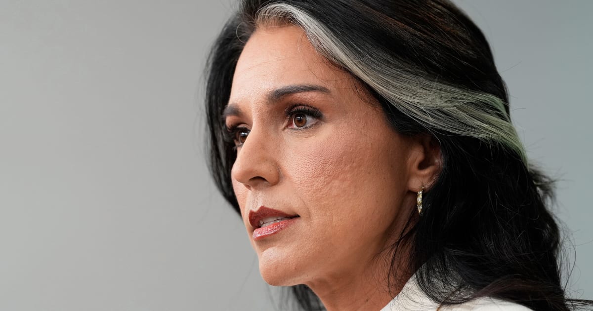 
                            Tulsi Gabbard can’t be trusted with investigating elections