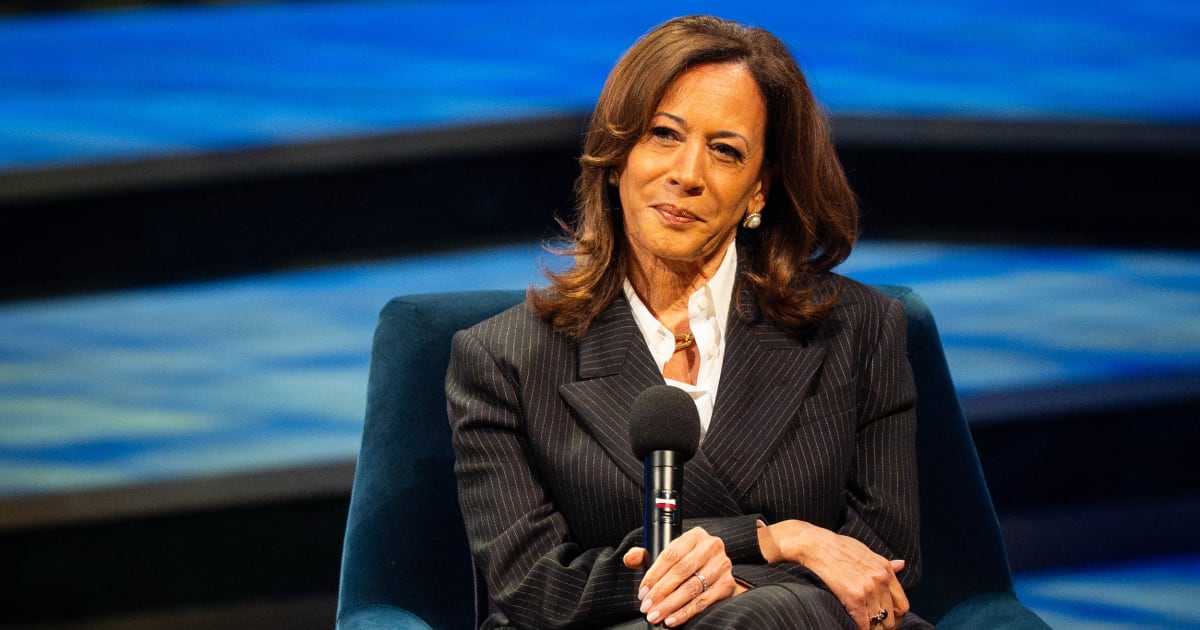 
                            Kamala Harris’ rebooted online ‘Headquarters’ is not the answer for Democrats