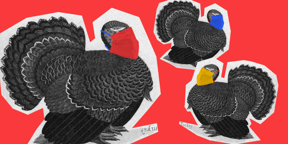 Image: Three cutouts of turkey illustrations with red, yellow and blue surgical masks on.