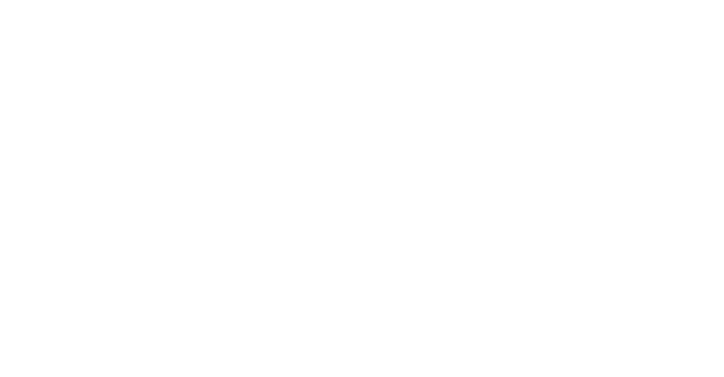The 11th Hour