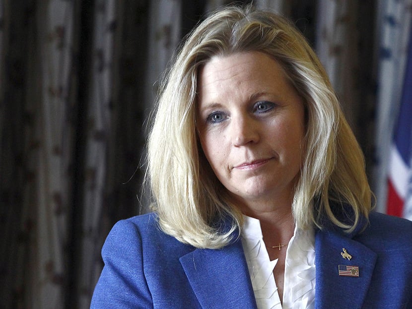 Liz Cheney speaks during a campaign appearance in Casper, Wyoming, Wednesday, July 17, 2013. (Photo by Matt Young/AP)