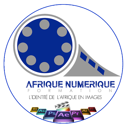Afrique Numérique Service