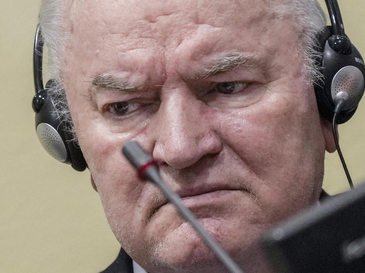 Mort de Ratko Mladic, ancien chef militaire des Serbes de Bosnie